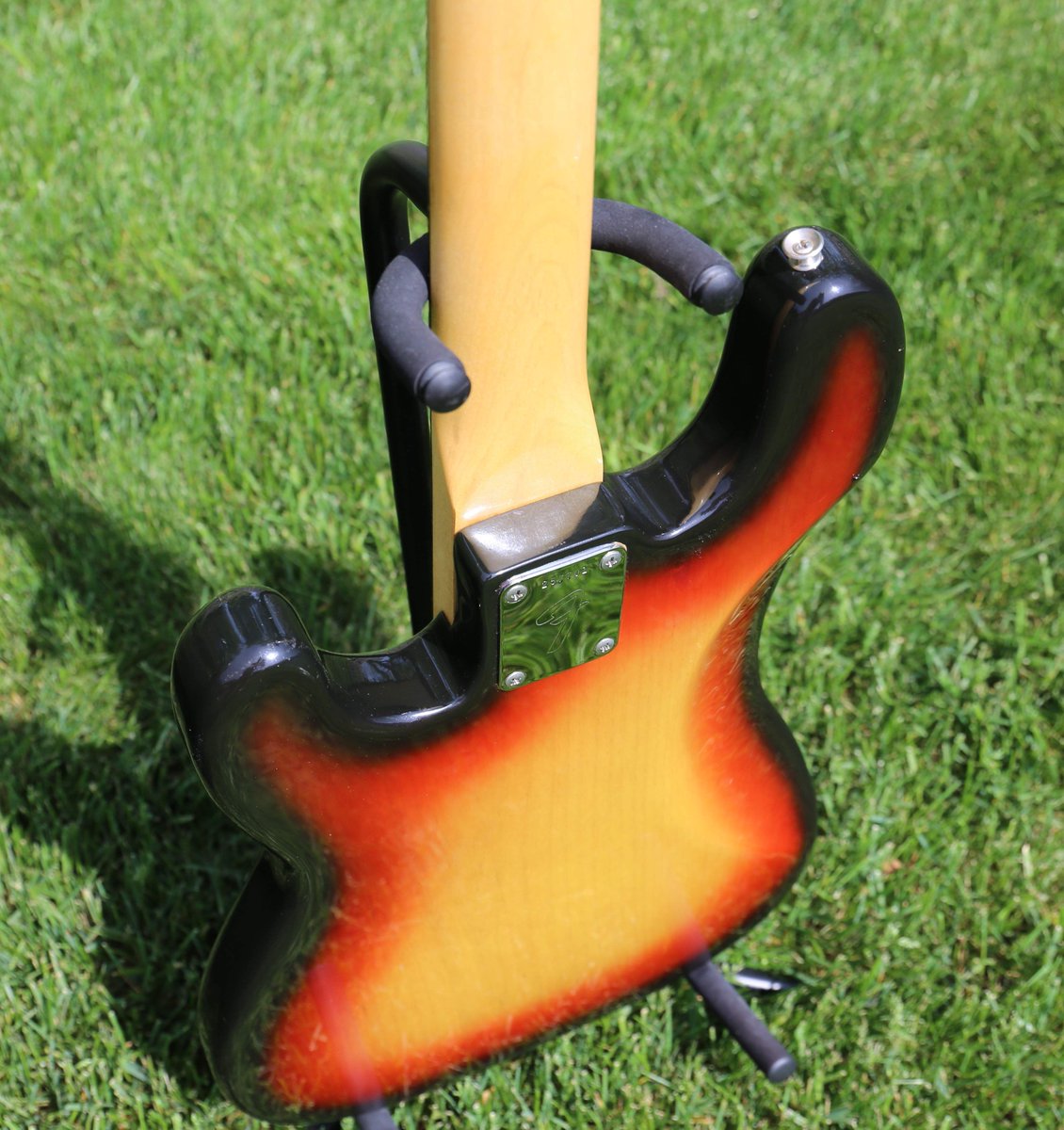 TalkBass.com tweet media