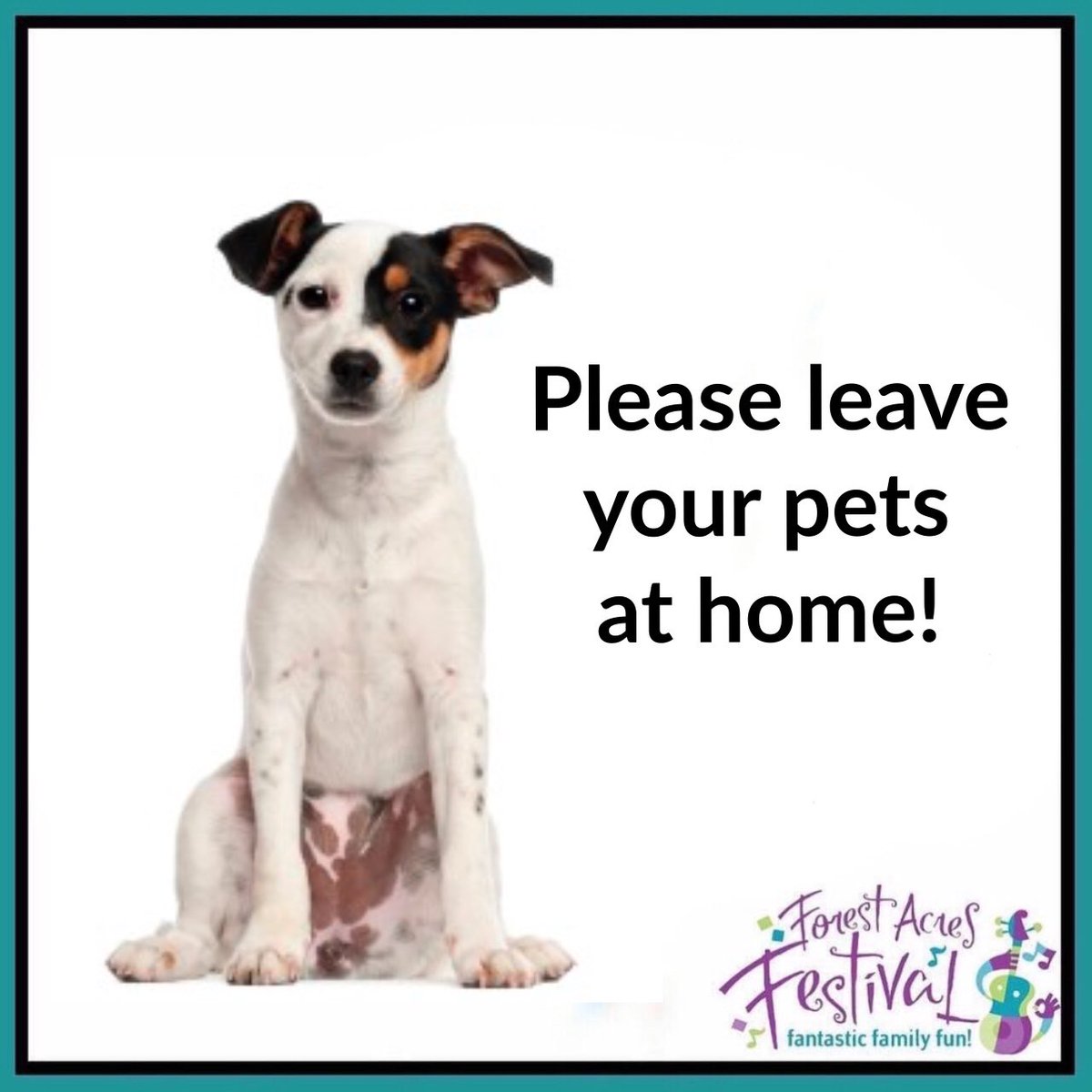 ForestAcresFest's tweet photo. The AC Flora Sports Field does not allow pets, so please leave Fido at home! #forestacresfestival #free #familyfun #festival https://t.co/z5eMWrd29L
