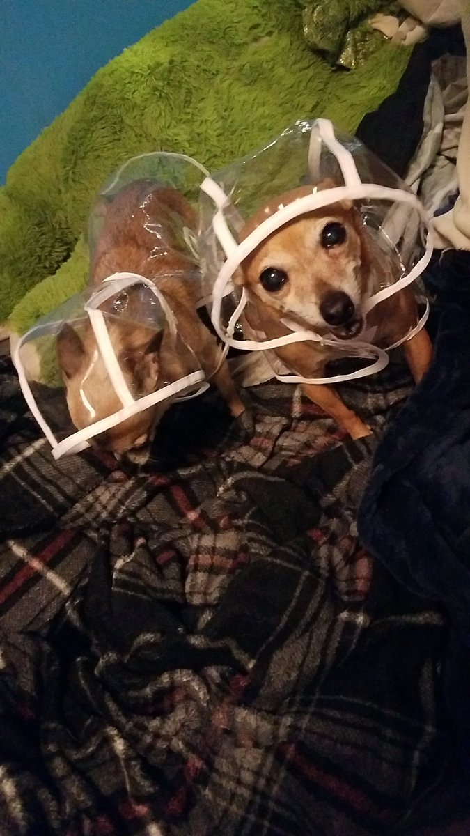 Chasity✌ tweet media