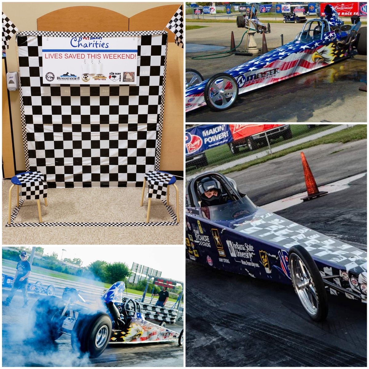 GordonGsimp1984's tweet photo. Race on in to save a life and help us find homes for the more than 200 homeless pets here this weekend! And check out our friends from Team Sycamore Racing Saturday and get your picture in our adoption winners circle!
#adoptspot #PicMe @PetSmartChariTs Petsmart Terre Haute https://t.co/6LJaApPWhI