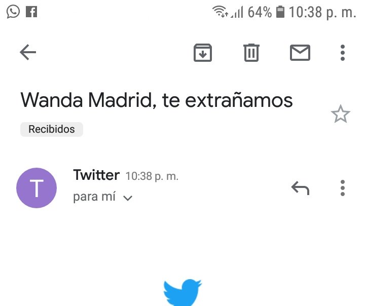 NoSoyFake tweet media