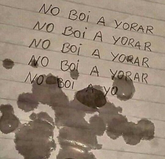 doblasnightmare's tweet photo. @DeGoBooM holiz. Vengo por una explicación rápida uwu ahora...
COMO VAS A TENER 5 MILLONES YA, TE DEJÉ SOLO UN MOMENTO WEY SI HACE NADA CELEBRABAMOS EL MILLÓN https://t.co/ecg1kgO1sw
