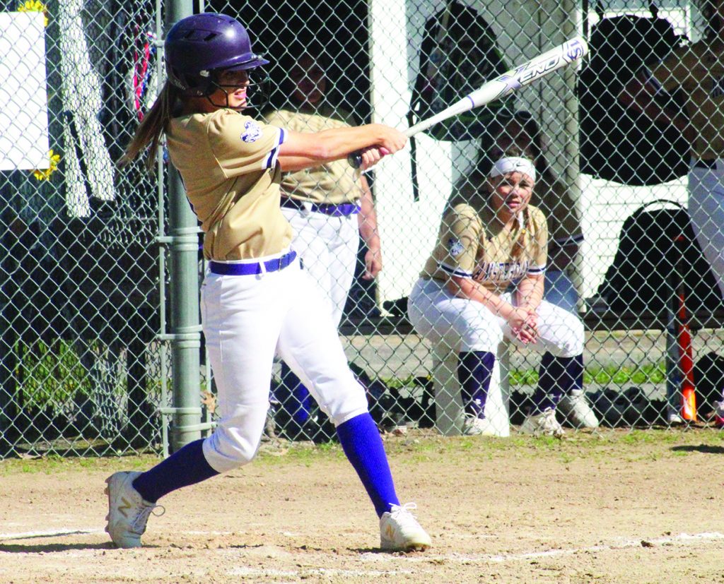 Adam Shinder tweet media