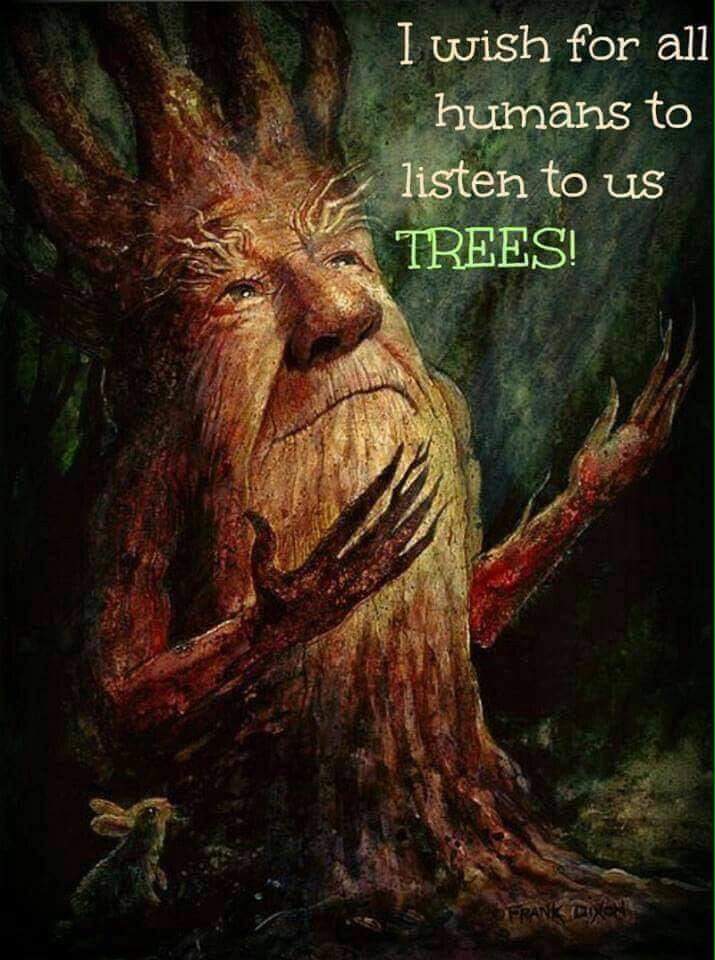 Th3M3m3M4k3r's tweet image. #ListenToTheTrees