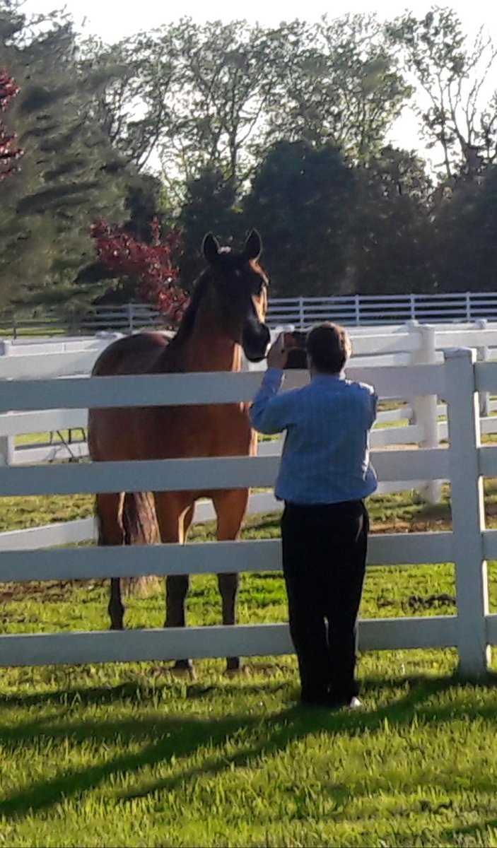 I love this pic taken of me in Colts Neck by my wife <a href="/Christine_1218/">Christine W.</a> . #NewJersey #horses #animalsareawesome