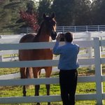 Photo by Dave and Christine (@4Paths2Wellness)