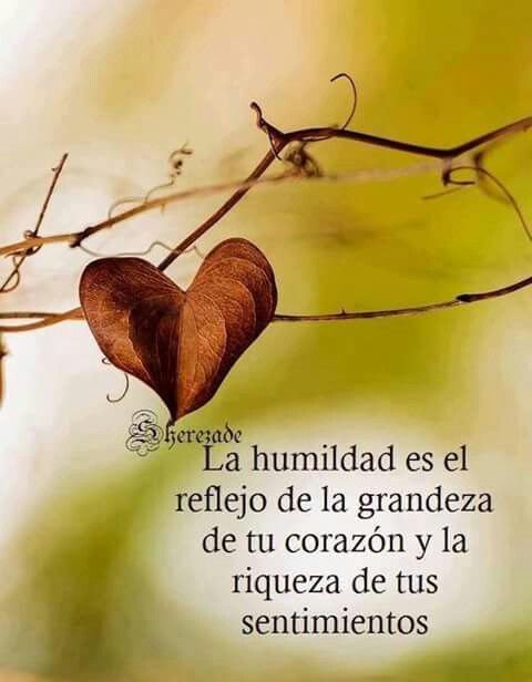 olirovil's tweet photo. Para ser grande en la vida, solo necesitas ser humilde de corazón...💞
#BuenosDias #FelizViernes https://t.co/dlCh6N849N