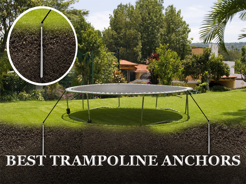 Trampoline Reports (@TrampolineHubs) / Posts / X