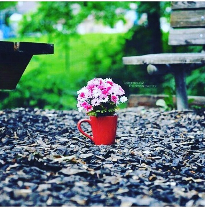 nahed_chouiha's tweet photo. صباح الخير ...❤🌹

سبحانه من يهب الفؤاد مناه
و يعطيه بالجزيل هداه
سبحانه من إذا قال العبد إلهي 
أجابه و بالعطايا جزاه 

صباحكم أجابه لامانيكم ..🎁
جمعة مباركة على الجميع..🕌📿 https://t.co/QexEaejgUO