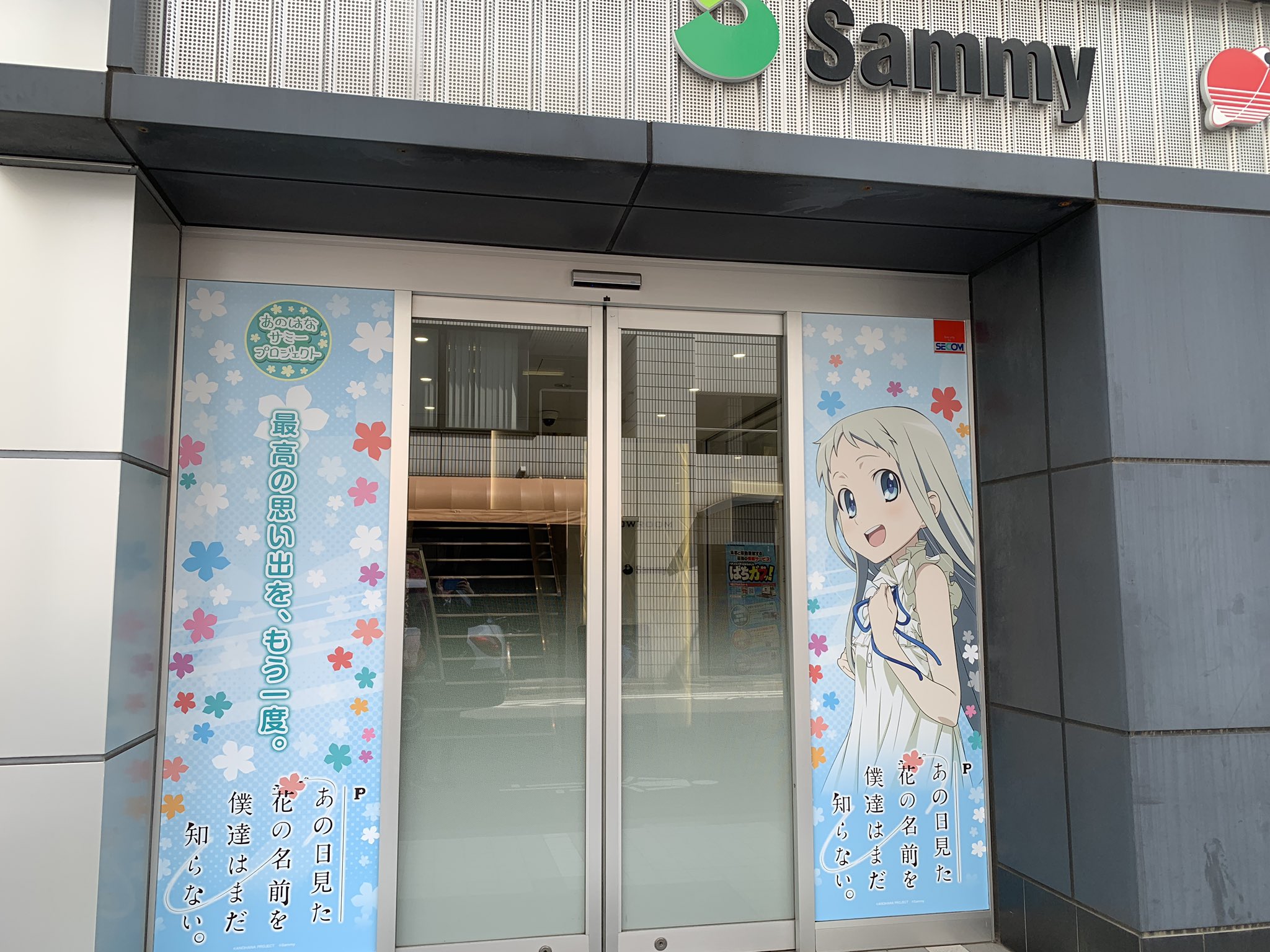 超特価コーナー あの日の見た様専用 www.dzvozdovac.rs