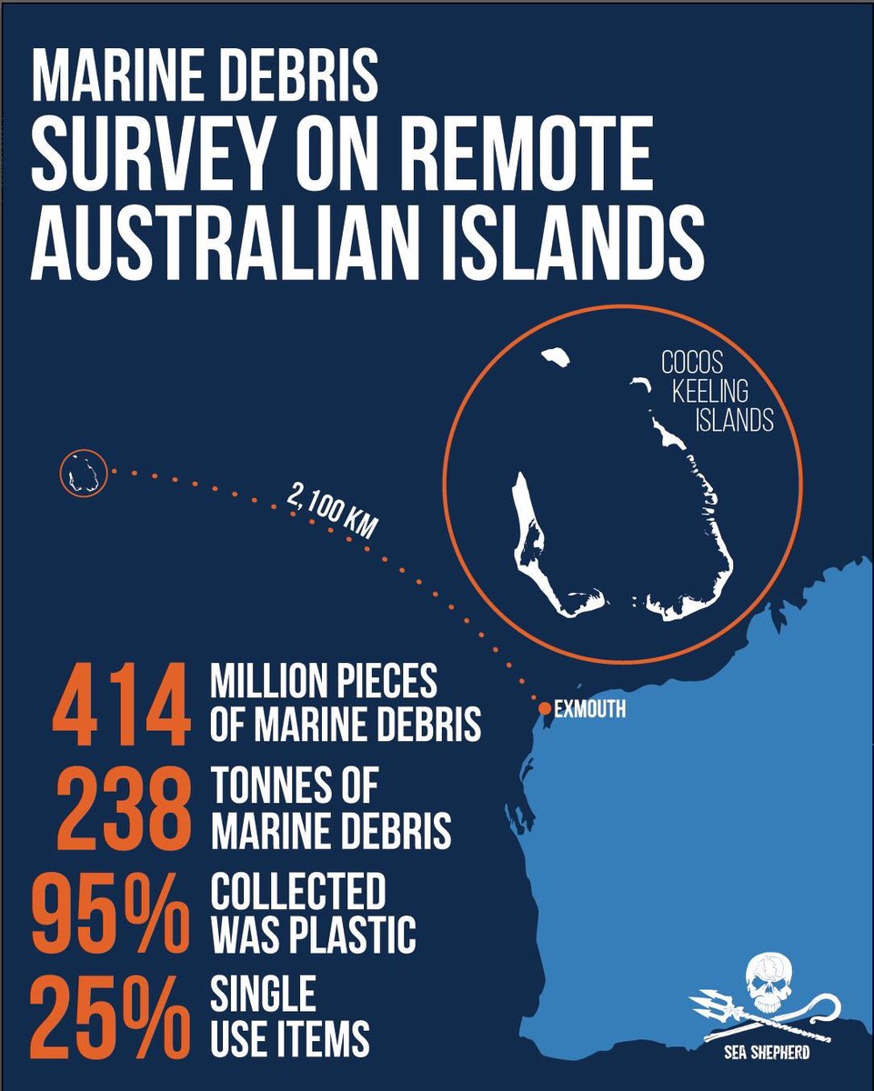 SeaShepherdMDC's tweet photo. A study led by Marine Scientist, Dr Jenn Lavers, and assisted by our Sea Shepherd Australia - Marine Debris Campaign team has found beaches littered with an estimated 414 million pieces of debris - with plastic making up 95% Full findings published in 'Nature' science journal. https://t.co/heglNZRjSP