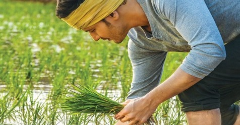WebduniaTelugu's tweet photo. #MaheshBabu మహేష్ బాబు అభిమానులు ఇక కాలర్ ఎగరేసుకోవచ్చు..! #Fulljosh #fans #Maharshi https://t.co/isLbrhmFOf https://t.co/lwO7AZecue