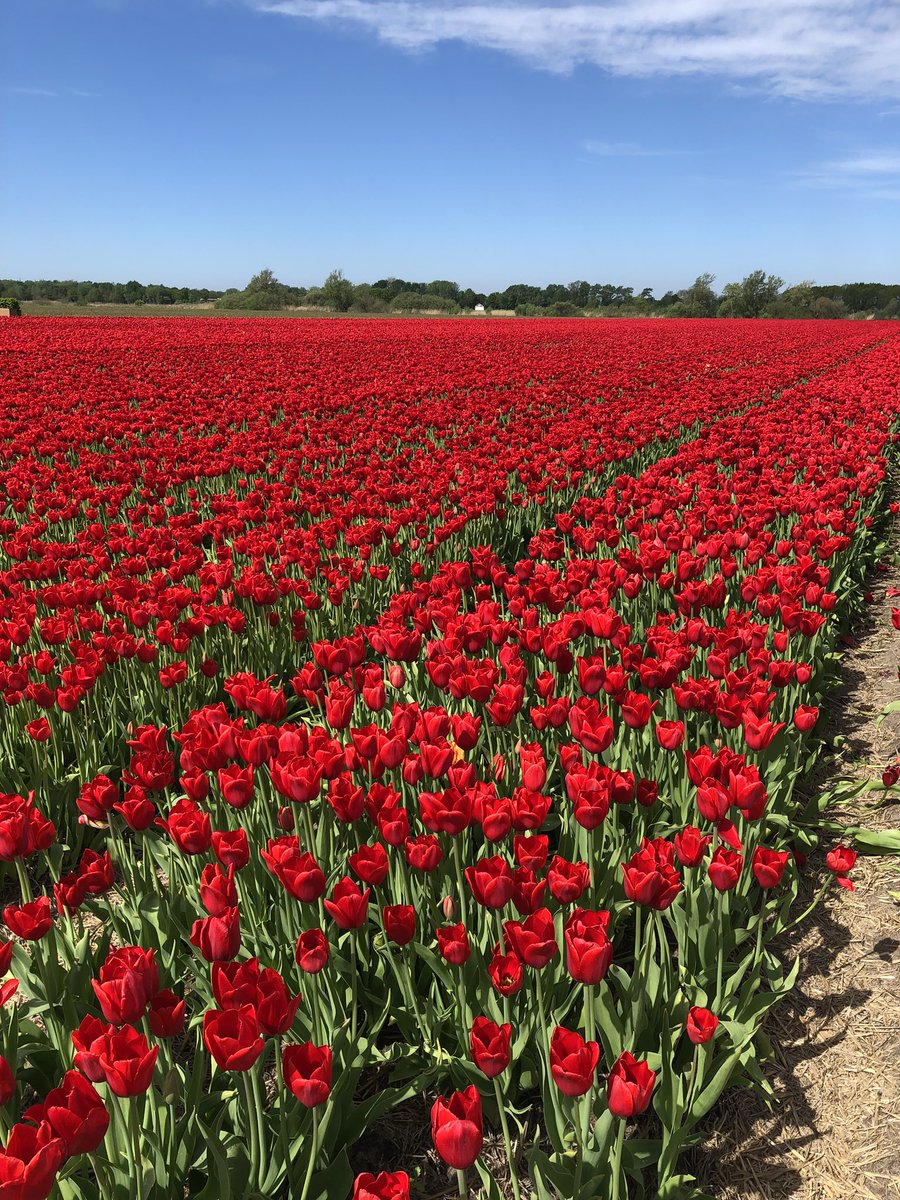 Accettare #ilRischio di #partire, #viaggiare, #esplorare, #conoscere. La sottile irrequietezza che accompagna l’uscita dall’ #aeroporto. Pagine bianche di un #libro tutto da scrivere! Con #guidaviaggilowcost tutti possono partire, anche tu! Cosa aspetti?