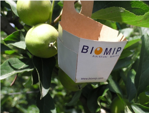 pomadegirona's tweet photo. Celebrem els #1000ogs #GruposOperativos de @EIPAGRI_SP! #Projecte1: “Control biològic de plagues en plantacions comercials de pomeres” amb l’objectiu de fomentar la seva defensa amb xarxa de polietilè en el control biològic. #giropoma #fructicolaemporda i #gironafruits https://t.co/vf4Op7Va7h
