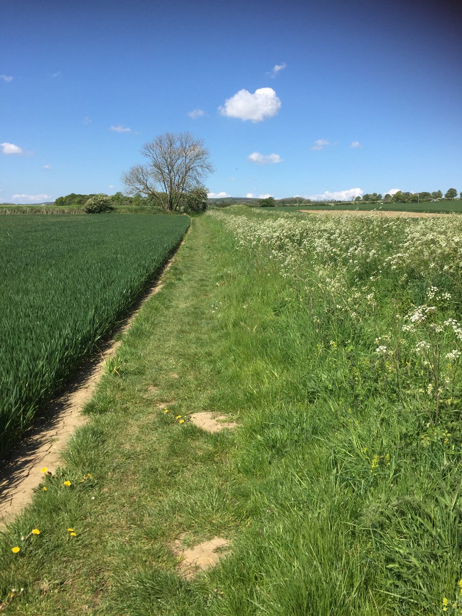 Christopher Somerville tweet media