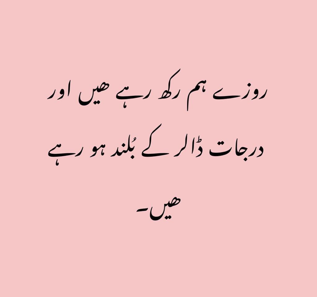 Xadeejournalist's tweet photo. Hehehe #Dollar https://t.co/5R4y52UHUS