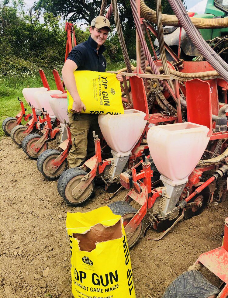 With warmer weather and rain forecast for the weekend, there’s been plenty of maize drilling going on this week. 

We still have game cover maize in stock so please contact us for more information. DM us or call the office on 01722 744494.

#GameCover #Maize <a href="/NationalGamekee/">National Gamekeepers</a>