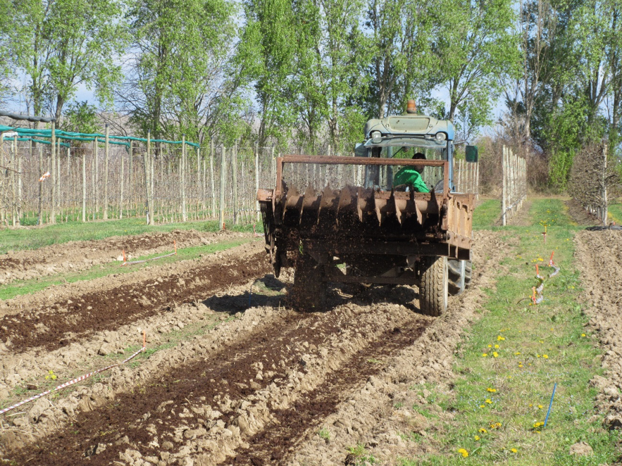 pomadegirona's tweet photo. #Projecte3 #1000ogs de @EIPAGRI_SP: “Nous mètodes i tecnologies per evitar el síndrome de la replantació en pomeres” per evitar els efectes negatius associats a la replantació utilitzant diferents mètodes i tecnologies. #giropoma #fructicolaemporda #gironafruits https://t.co/gu4EIRbIjG