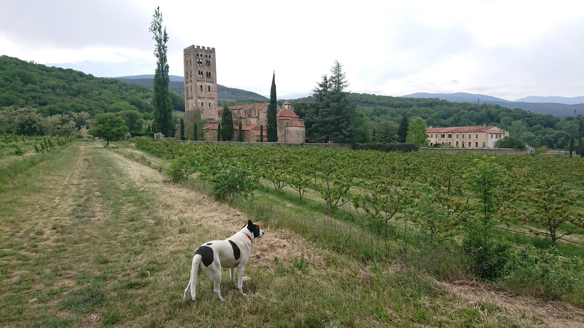 Then he led us down a hill. Until.... voilà. L'Abbaye Saint Michel de Cuxa.