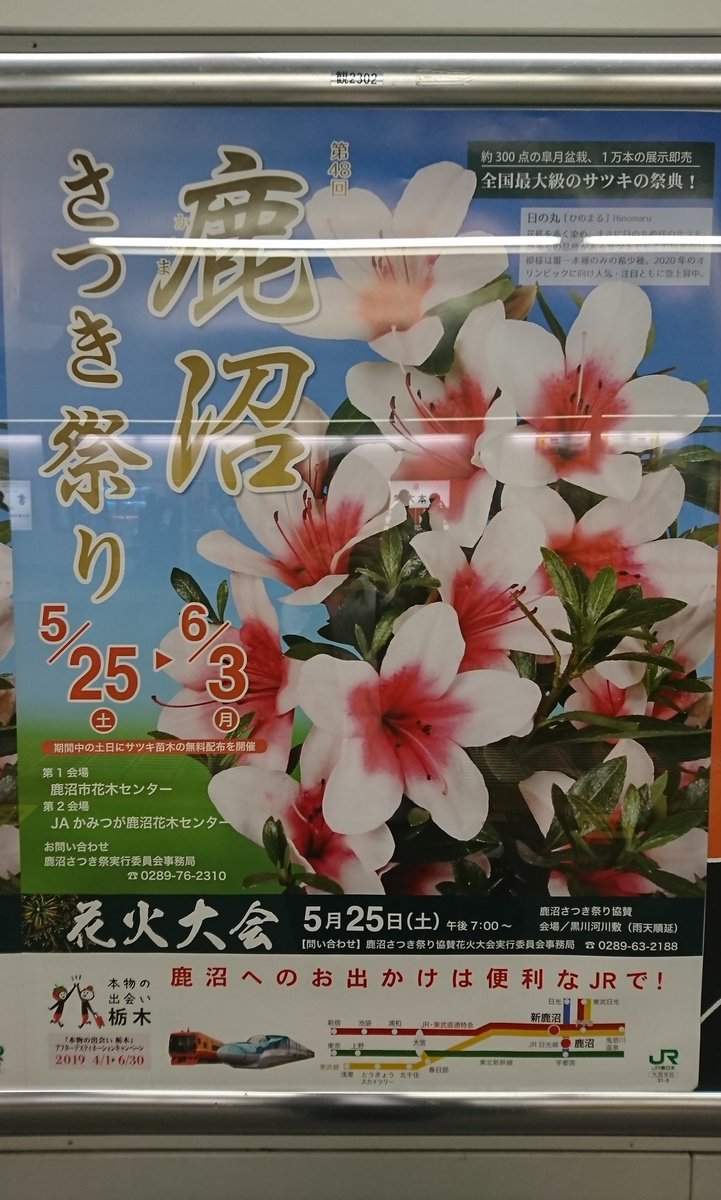 鹿沼さつき祭り 鹿沼さつき祭り