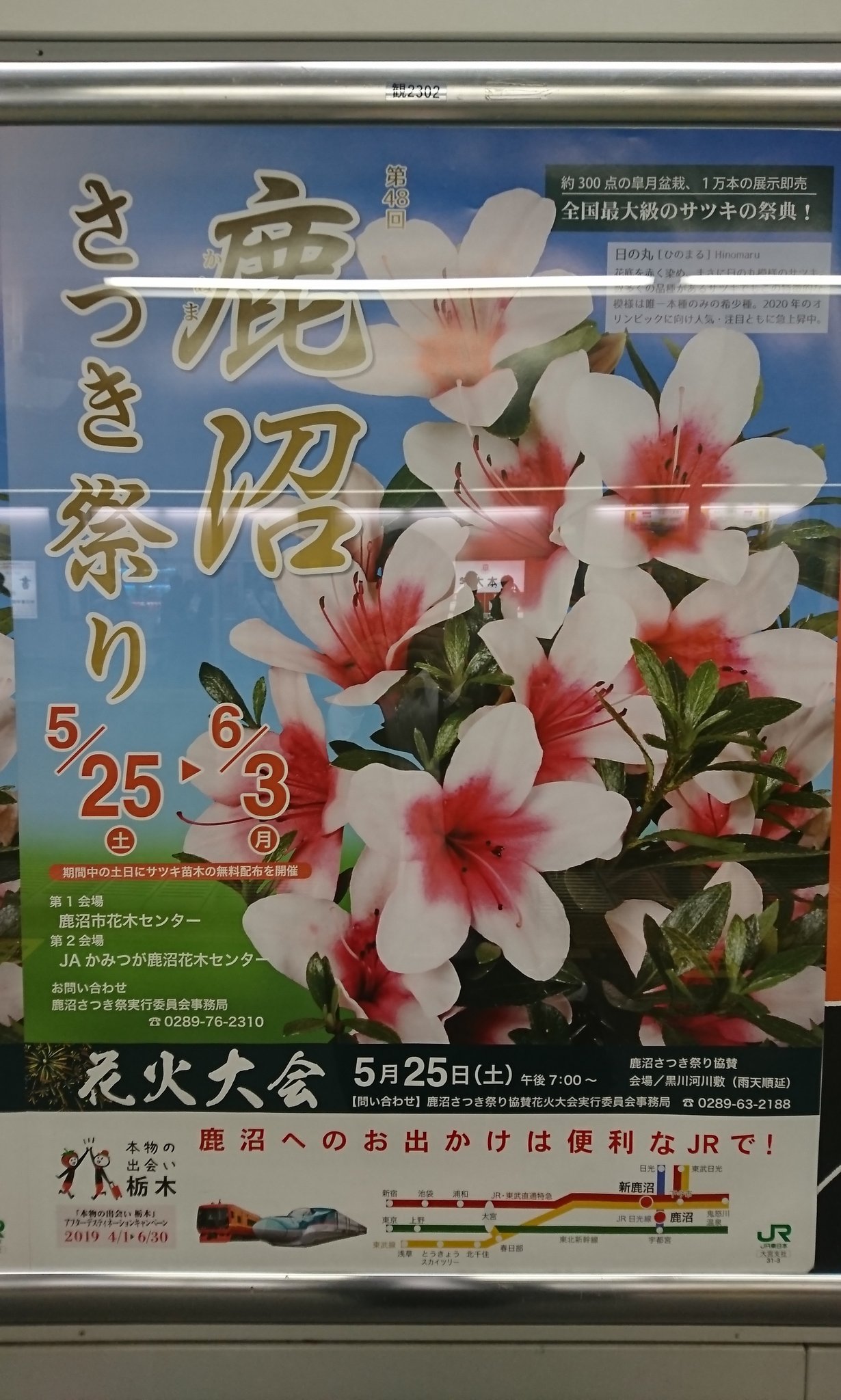 鹿沼さつき祭り Twitter Search Twitter