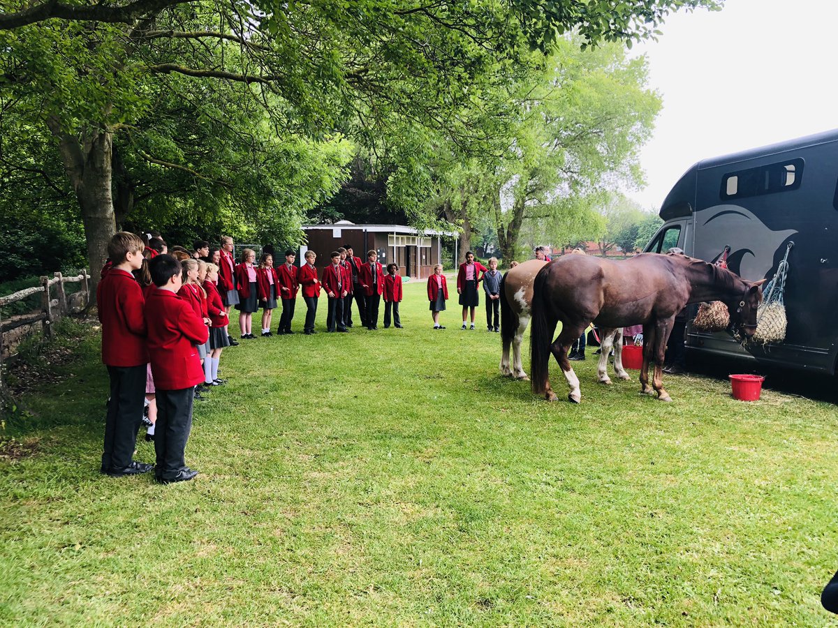 ThePrebendal's tweet image. Today in #Quadrivium we’re meeting Rabbit and Zapuki, and learning about how they were rescued.