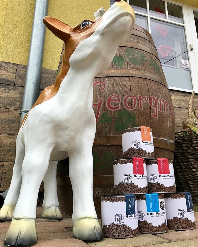Parádny syr od Veroniky a čerstvo pražená výberová káva v Kolárove ❤️ zastavte sa po zásoby 🧀☕️❤️ bit.ly/2YAwS5g