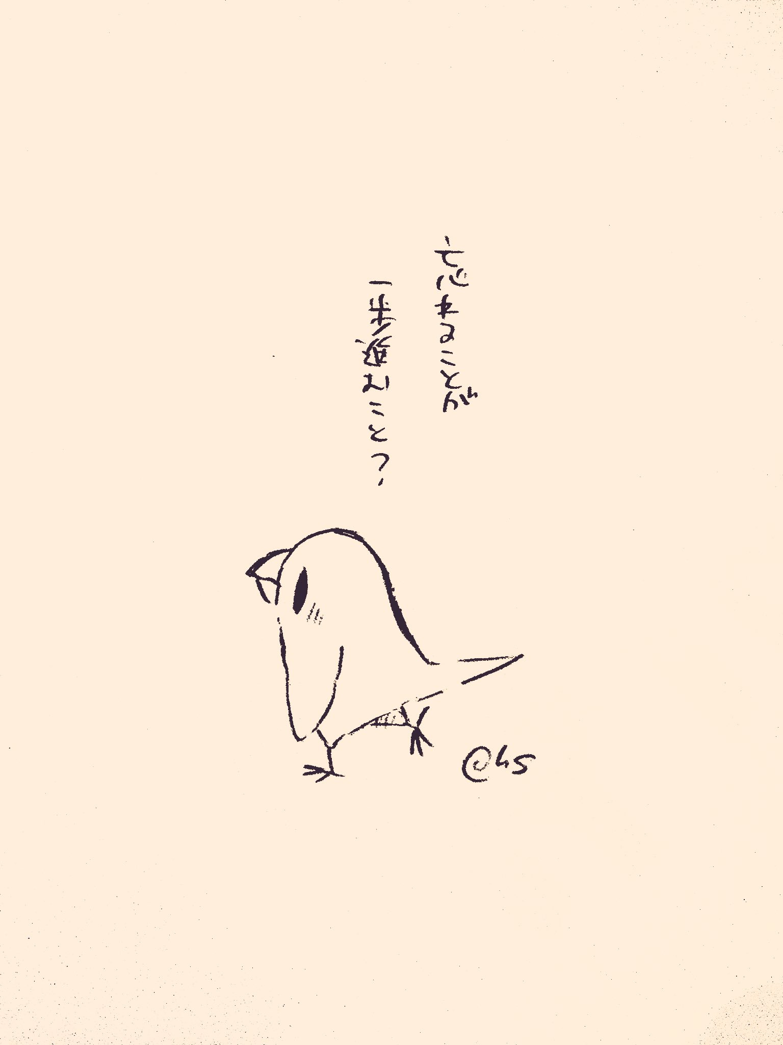 黒木 泰則 クロキ ヤスノリ Kuroecho Twitter