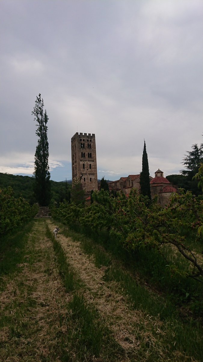 We did, and after a few unsuccessful attempts to follow us into the abbey, Adventure Dog eventually did as he was told and trotted off.