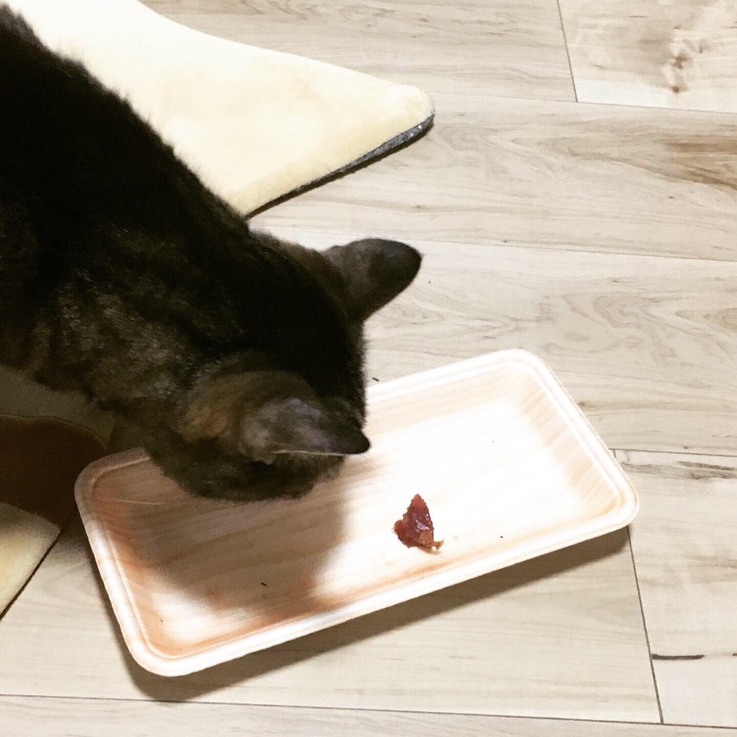 タビ ダイエット中 あまりもの整理祭り 今回は猫にもカツオを与えました 炭水化物が欲しいのでこのあとリンゴも食べようかと思います 野菜や果物など精製されていない炭水化物は普通に食べます 砂糖断ち ダイエット飯 猫画像 T Co
