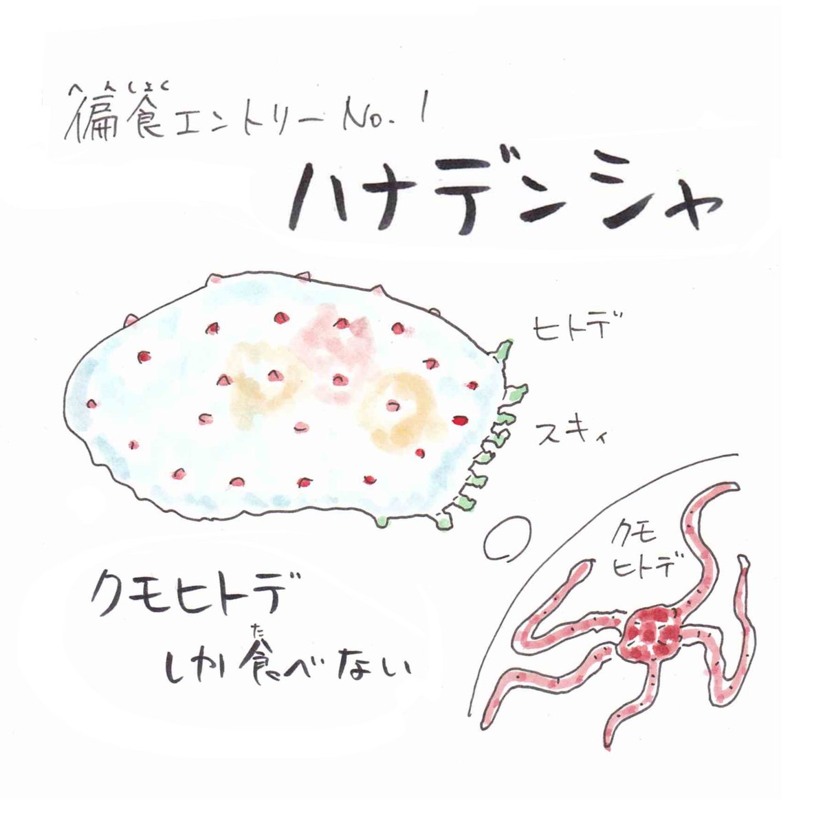 [いきものレッスン?]

今週テーマ『#ウミウシ 好き嫌いしすぎ!』
みんなは好き嫌いせず何でも食べようね?

宿題クイズ☑︎
『ニシキウミウシは別名〇〜〇ウミウシ?』
ヒント:フルーツ&amp;寒天の入ったスイーツの名前?

クイズの回答はこちらから??#うおにい
https://t.co/0h9wuyuu49 