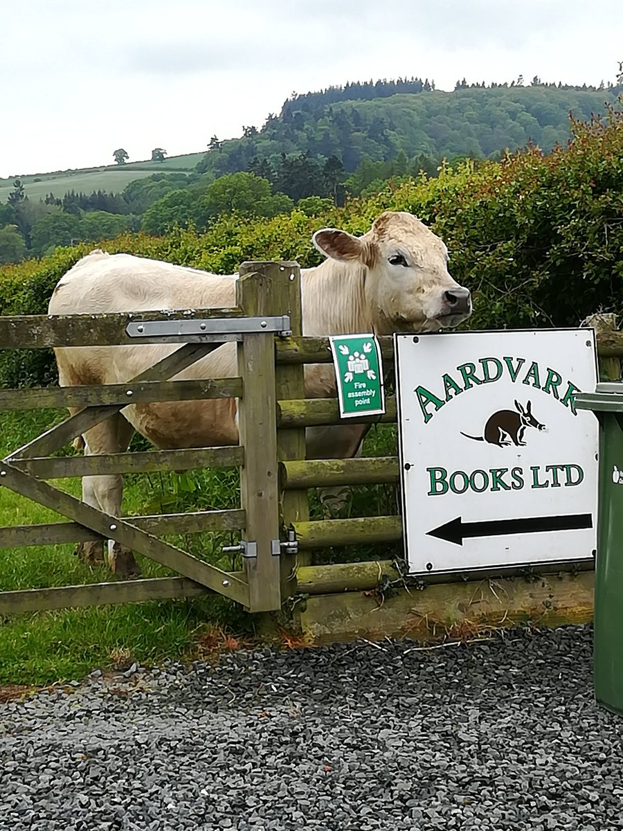 LogastonPress's tweet image. #bookdelivery day :) lovely new books delivered to #Leominster @RossiterBooks #Ludlow Castle Bookshop @AardvarkEthel #rurallocals #Herefordshire #newbooks