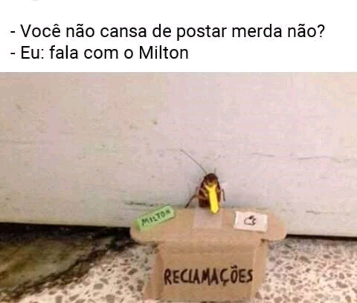 lainetabor's tweet image. Reclamações aqui.