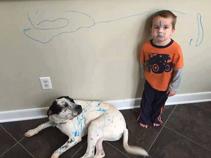 foro_design_jr's tweet photo. Hilarious pics that show what happens when you leave your kids alone (add yours): 

#children #childsplay #funn #funny #kids #creativekids #kidscreativity #forodesignjr #mastermpd https://t.co/7l2Q319VYi