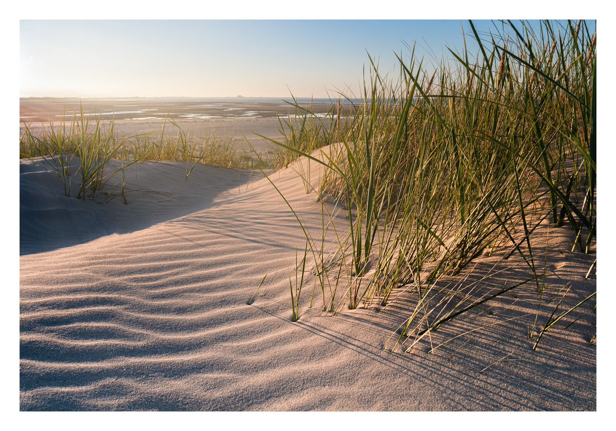 The last of the evening sun at Budle Bay #Northumberland #NorthumberlandDay