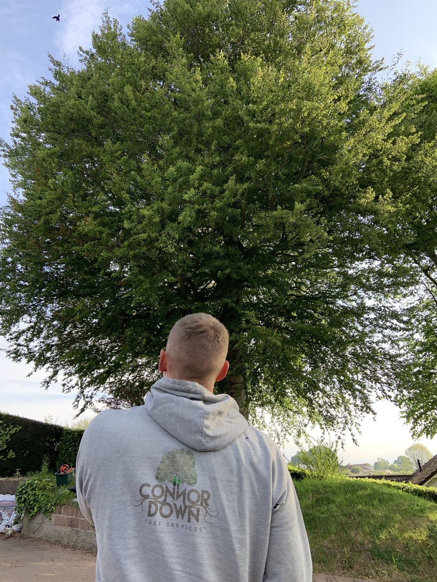 down_connor's tweet photo. Slight crown raise today! 

🌿🌲 https://t.co/YTzmbluZ2f