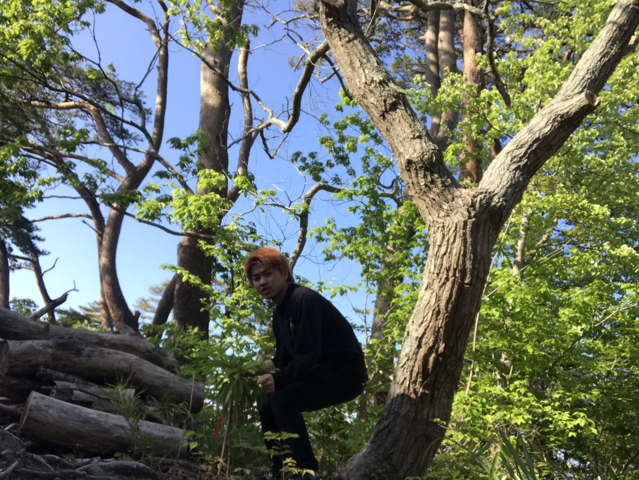 C W ニコル Twitter Search Twitter