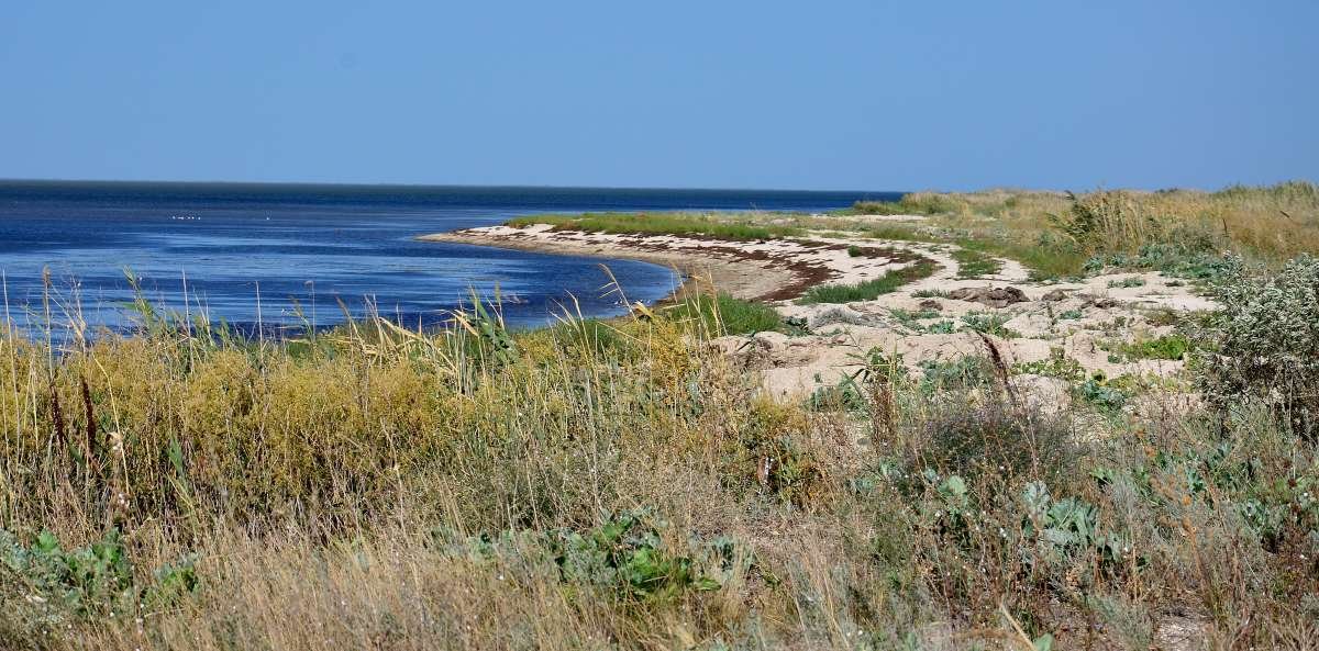 PriazStepi's tweet image. priazovka.ru/bezopasnost-ch…  Жители Ейского района обеспокоены: Дамба губит лиман