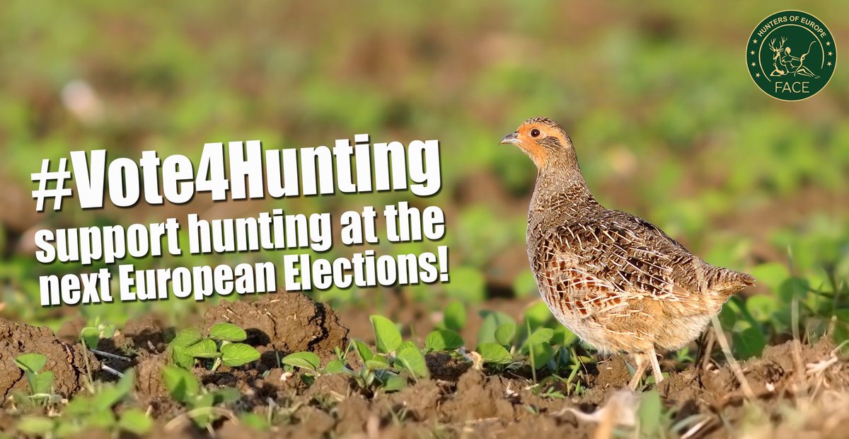 FACEforHunters's tweet photo. π π πͺπΊ #SmallGame has dramatically decreased due to intense agricultural practices & loss of #habitat βΆοΈ FACE is calling for the next #CommonAgriculturalPolicy to be stronger and invest resources on #biodiversity!
π #Vote4Hunting at the #EUelections2019 https://t.co/Kf3oigRwKU https://t.co/mG9dHa20ma