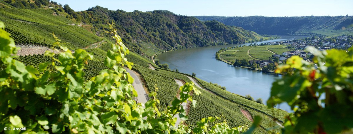 _outdooractive_'s tweet photo. #Wanderfreunde erwartet im Ferienland #BernkastelKues die herrliche Kulturlandschaft der Mosel und des Hunsrücks mit abwechslungsreichen Wanderrouten für jeden Geschmack. 👌-> https://t.co/V50lyGkQ08 https://t.co/o5X5SHXEB2