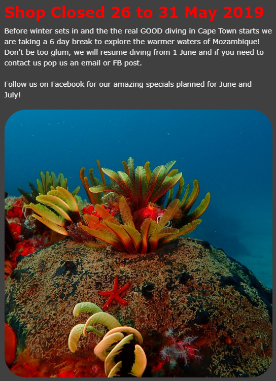 Alpha Dive Centre tweet media