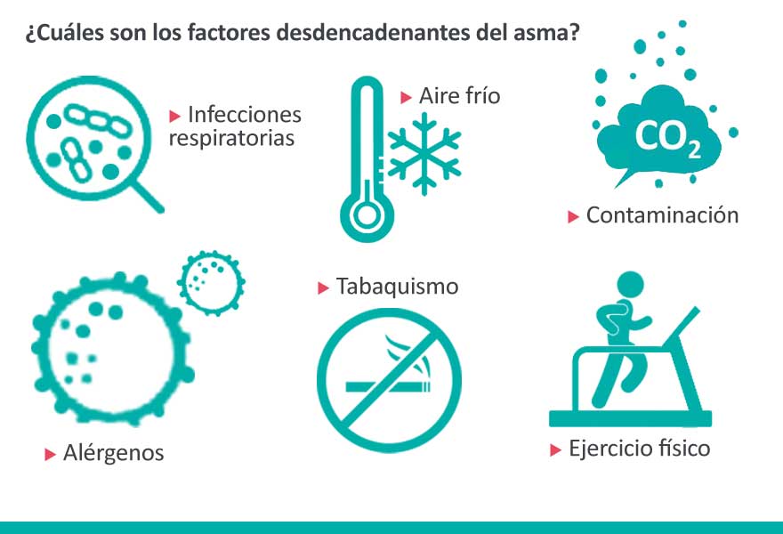 Factores desencadenantes para que aparezcan o empeoren los síntomas del #asma son: infecciones respiratorias, tabaquismo, contaminación, aire frío, exposición a alergenos, medicamentos, ejercicio físico, etc. Aprende más de esta enfermedad en #EscuelaAsma. ow.ly/4zkT50ufLGV