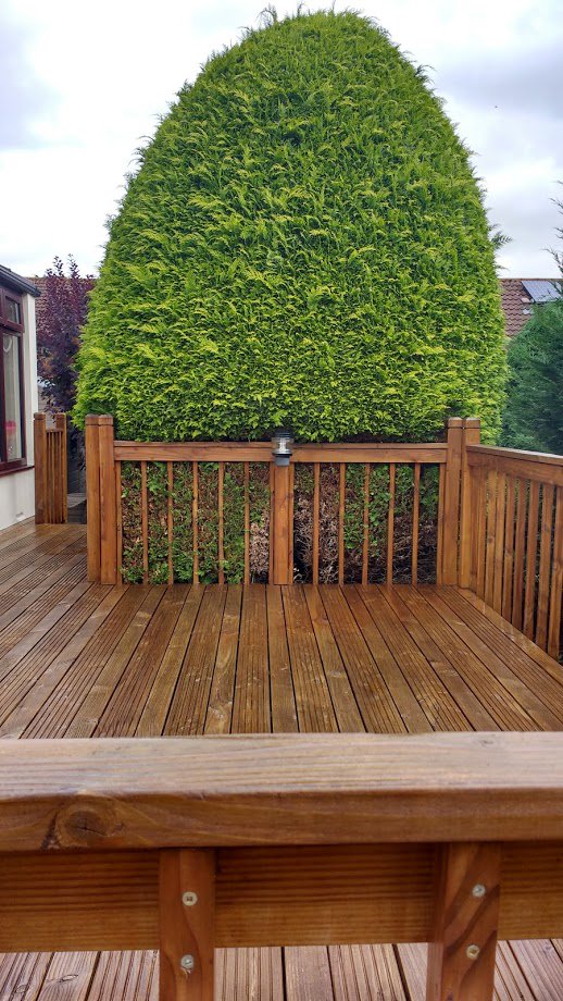devonsurfacecar's tweet photo. Hope everyone is taking advantage of the weekend and relaxing in the garden.  #patiocleaning #garden https://t.co/lRfvMpzMiB