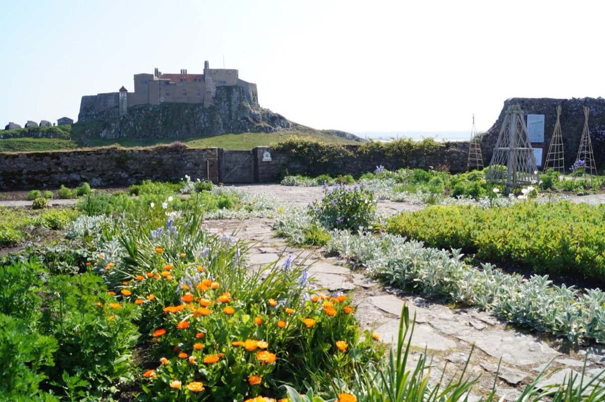 NTlindisfarne's tweet photo. If you or someone you know has green fingers &amp; a bit of spare time we’d love to hear from you. We’re looking for #volunteers to help out in our Gertrude Jekyll garden at Lindisfarne Castle on Holy Island. Details: https://t.co/MU0Zgkg7U7 - please share #Northumberland https://t.co/l8evxz57PG