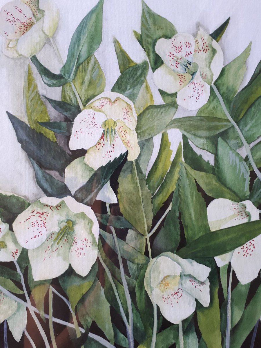 Number 18 on the Penge Art Trail map is JAN TOZER Come and discover Jan's studio and the artist's watercolour painting, worked from natural forms. . @tozerjan #art #se20 #penge #painting #illustration #bromley #sydenham #beckenham #crystalpalace