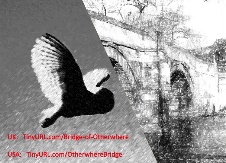 <<It is difficult to place this book in a genre. Is it a supernatural thriller; a kitchen sink drama; a romance? Possibly all three and perhaps why I found it do engaging.>>  TinyURL.com/OtherwhereBrid… TinyURL.com/Bridge-of-Othe… #Fantasy #Mystery #Magic