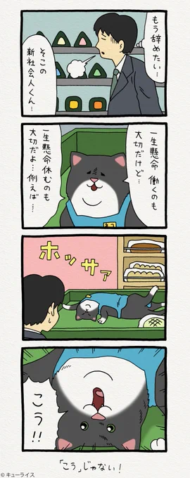 4コマ漫画レジネコ。「そう！」by店長。　　「キューライス展　フェムエバー」宇都宮パルコにて5月31日まで開催中！→　 