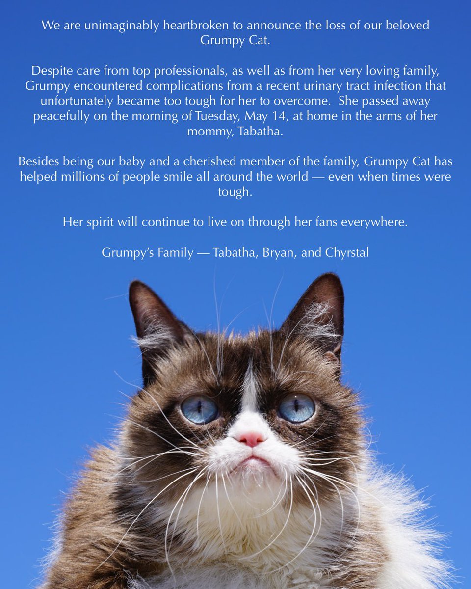 Reframe: Here's Something to Smile About, Grumpy Cat