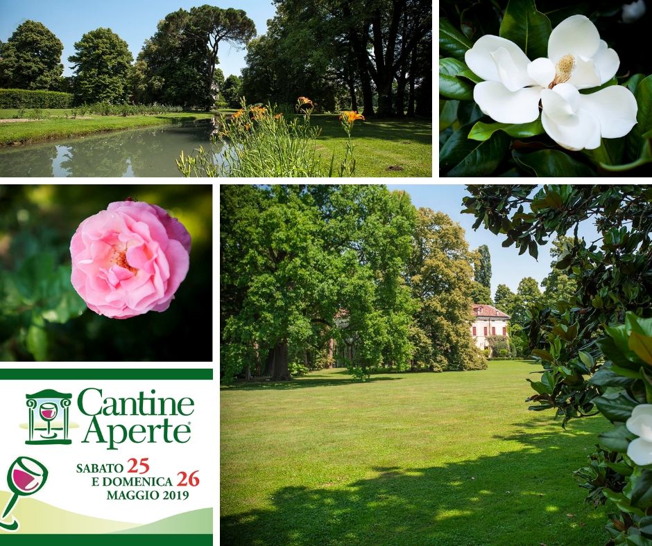 Vini Vistorta tweet media