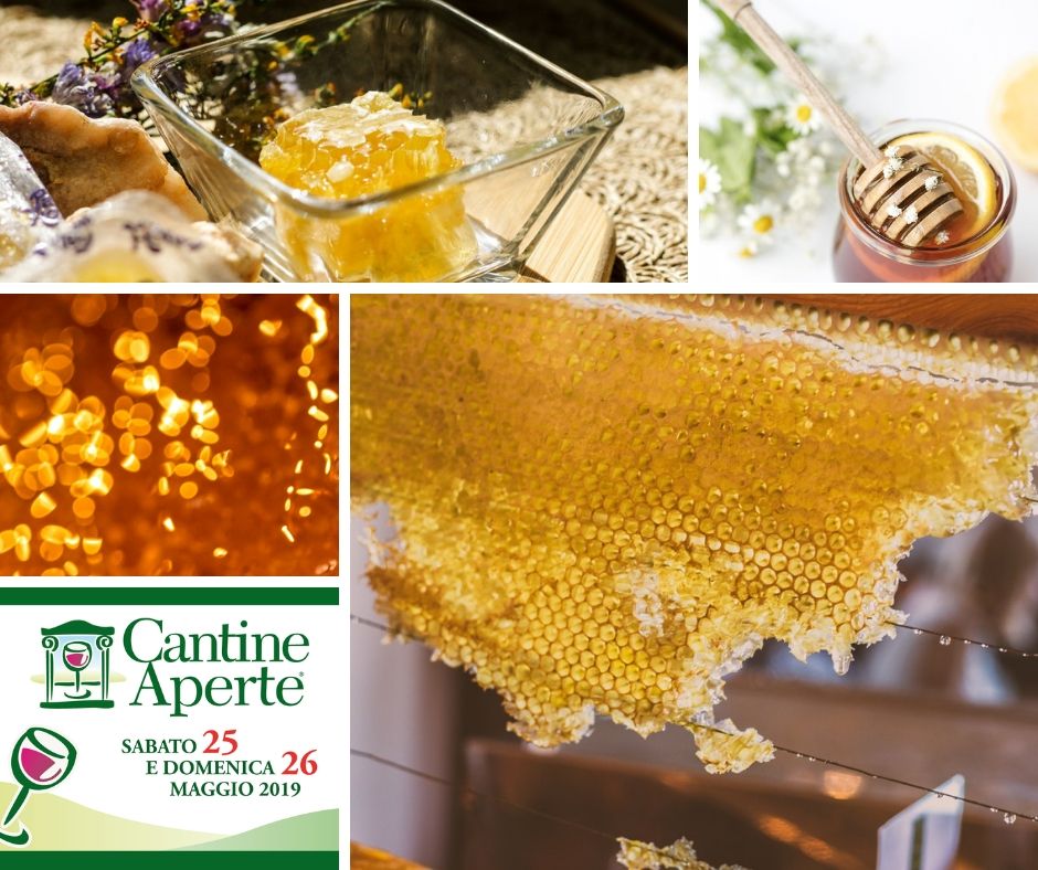 Vini Vistorta tweet media